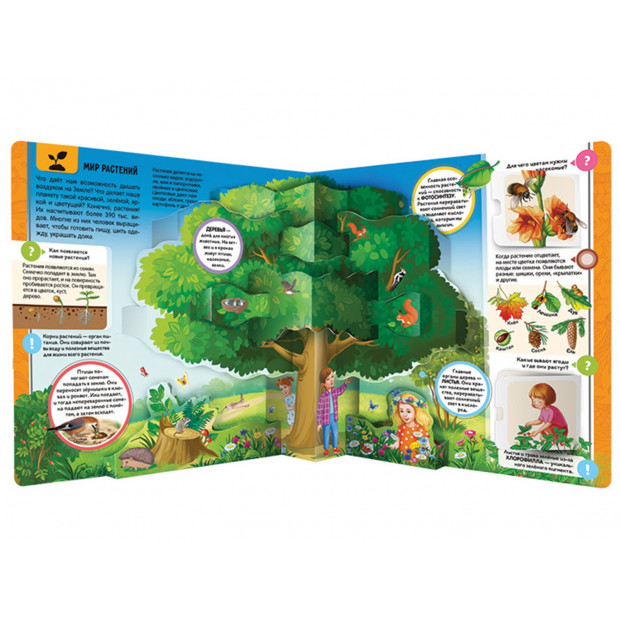 Энциклопедия открытий. Наш мир