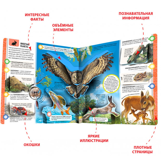 Энциклопедия открытий. Планета Земля