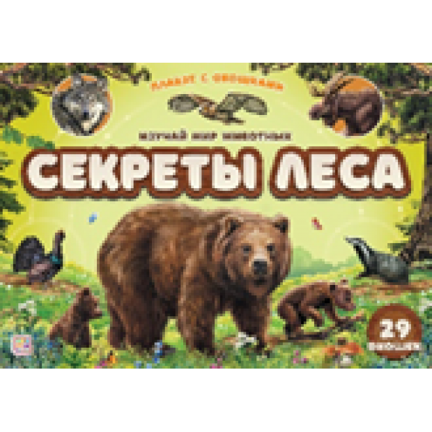 Превью картинки