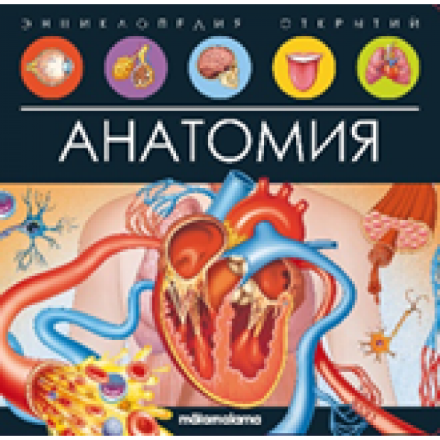 Превью картинки