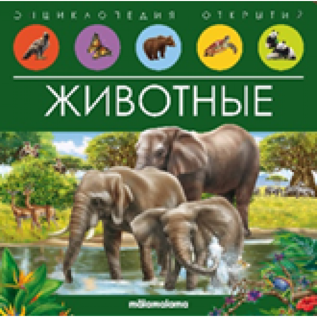 Превью картинки