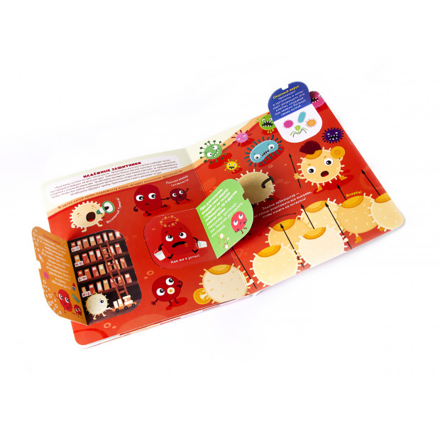 Книжка с окошками. Почему мы болеем? Иммунитет