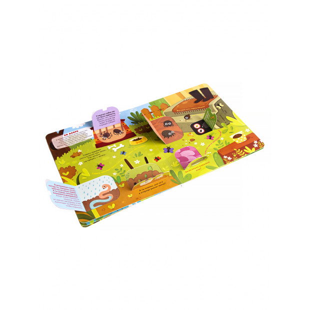 Книжка со створками. Что мы видим в микроскоп?