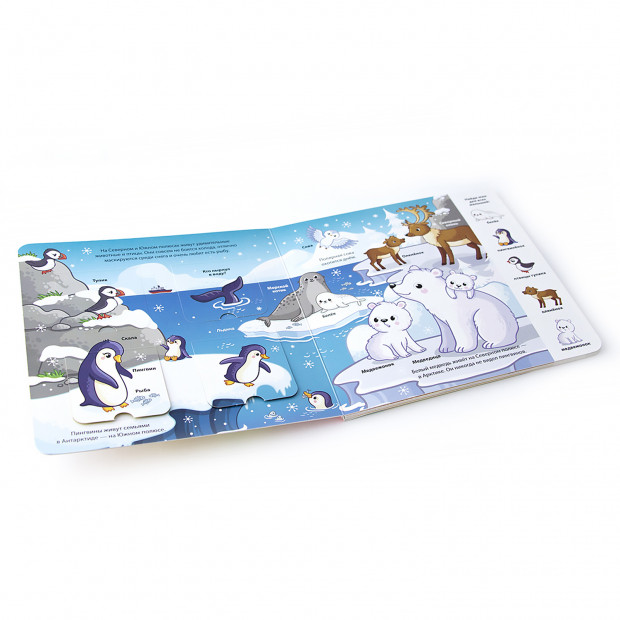 Мои первые слова. Море: книжка с окошками