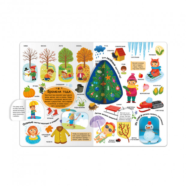 Мой первый словарь. Мир вокруг.