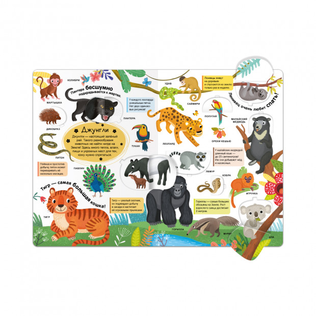 Мой первый словарь. Живая природа.