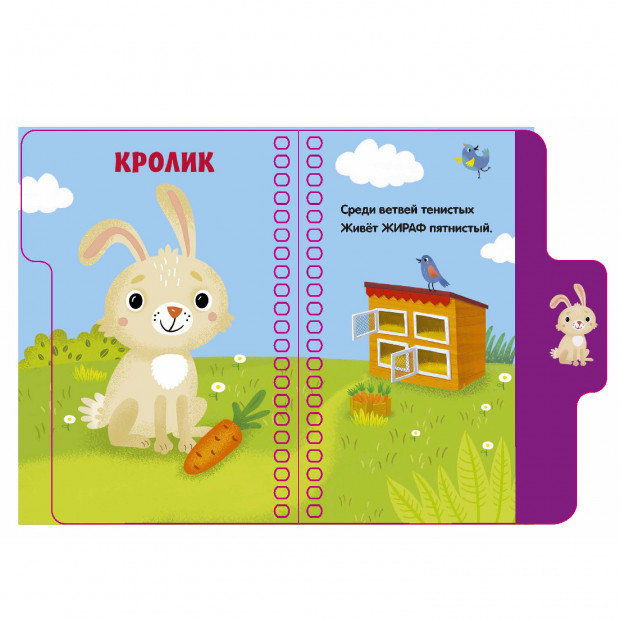 Первые шаги. На ферме