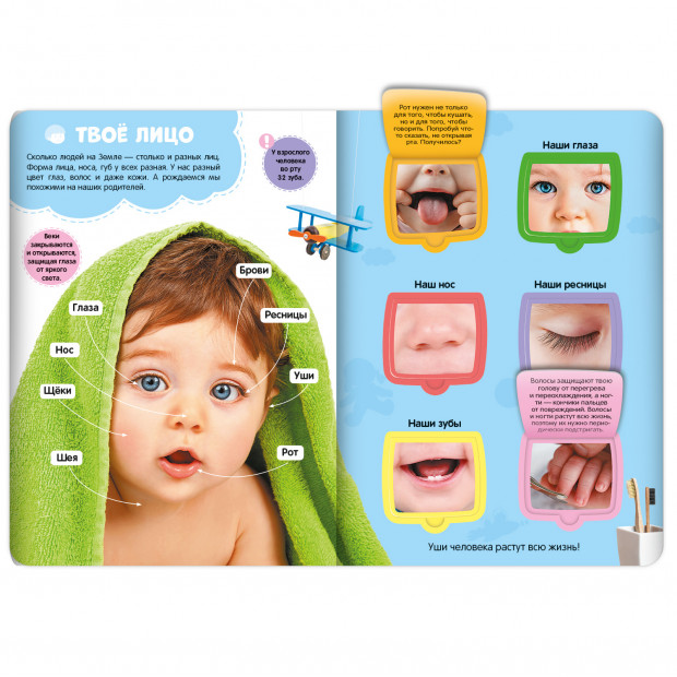 Первые знания малыша(с окошками). Моё тело