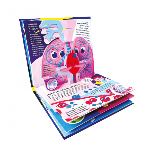 Почемучка. Анатомия