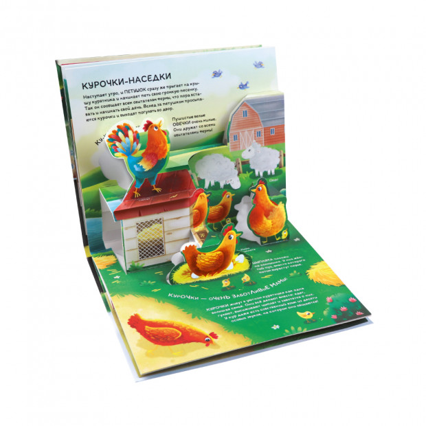 Почемучка. Домашние животные