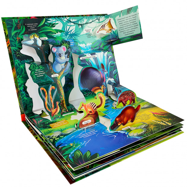 POP UP энциклопедия. Джунгли книжка панорамка (интегральная) Китай