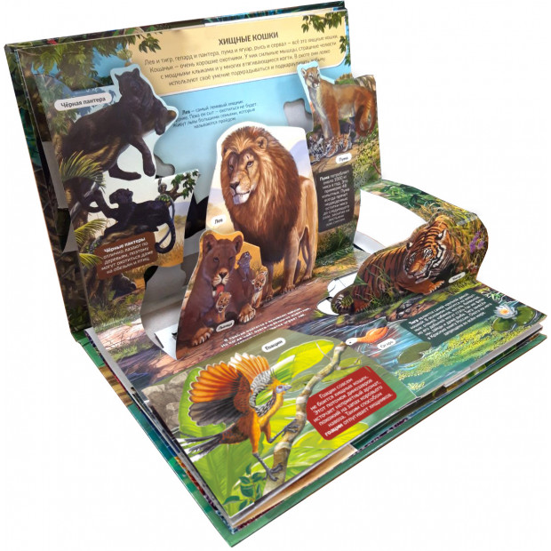 POP UP энциклопедия. Хищники книжка-панорамка