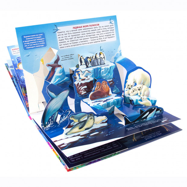 POP UP энциклопедия. Море книжка-панорамка КИТАЙ