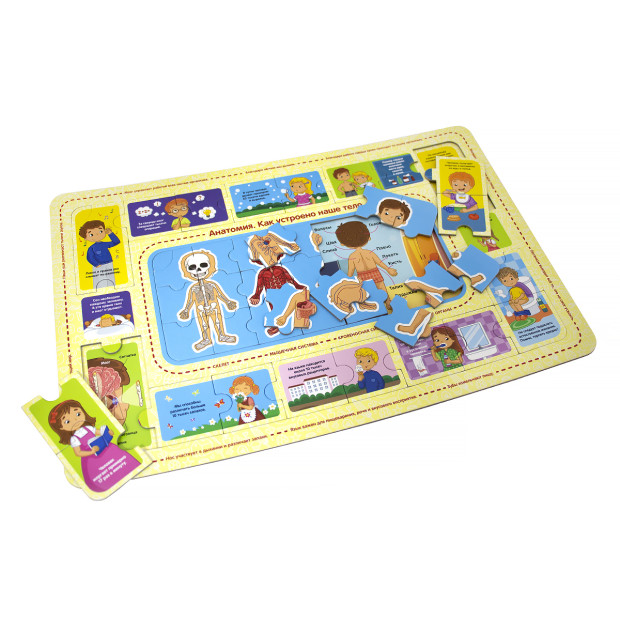 Развивающий пазл. Анатомия