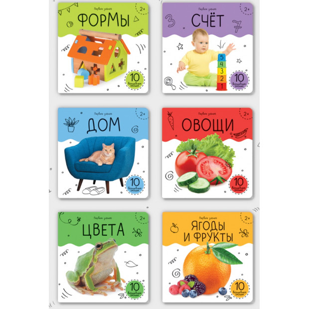 Шоубокс "Первые знания"