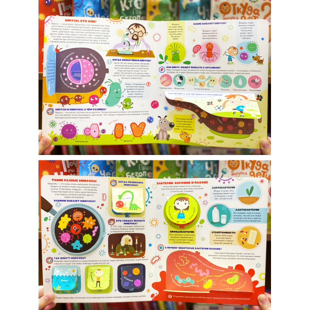 Умные окошки. Вирусы и микробы