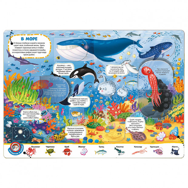 Виммельбух с окошками. Животные