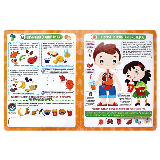 ЗнаникУМ. Анатомия